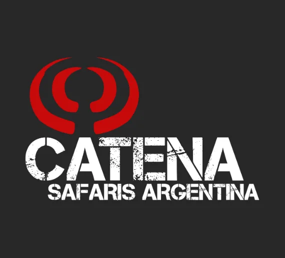 About a logo on a black background