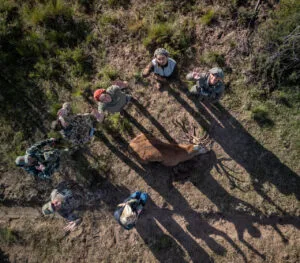 a group of people standing around a deer