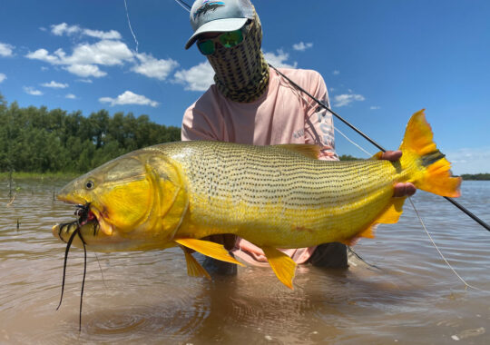 Nomads_Outfitters_Dorado_19