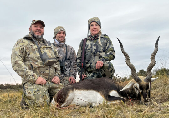 Northern_Territories_Blackbuck_2