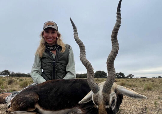 Northern_Territories_Blackbuck_3