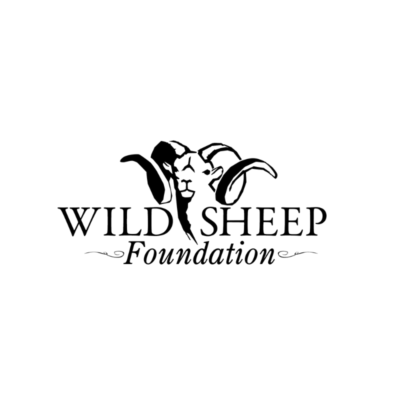 Brand Name - Create an Enticing Logo Display Website.WILD_SHEEP