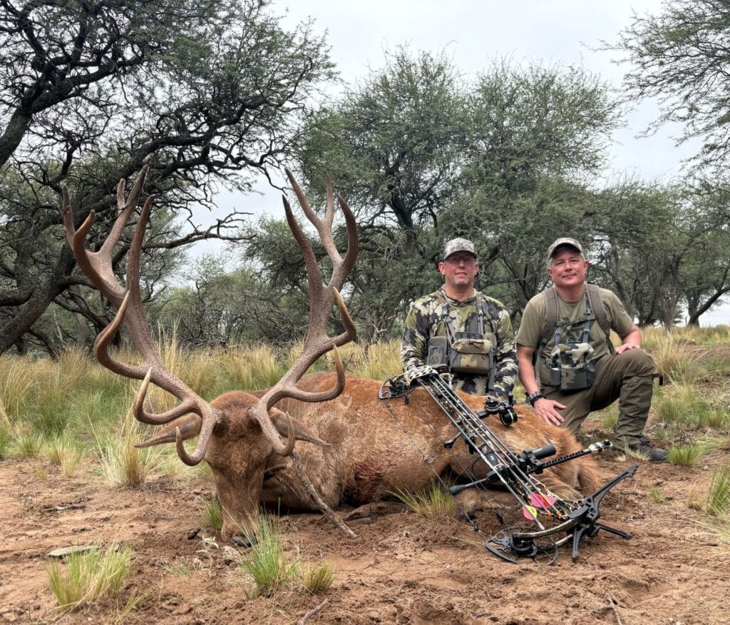 Red Stag Hunting Argentina bow hunting Trophy red stag from Patagonia season 2025